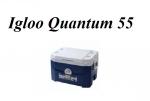  - Igloo Quantum 55